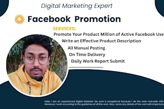 do facebook promotion in the USA to a large audience