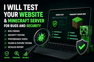 test your website and minecraft server for bugs and security