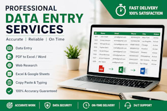 accurate data entry excel data typing