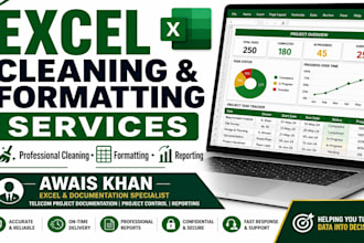 clean and format the excel spreadsheet for business and project reporting