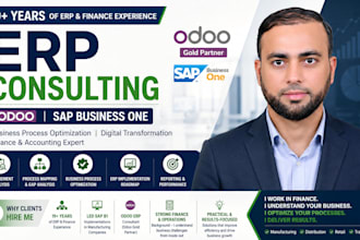 provide sap business one and odoo erp consulting services