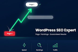 do complete wordpress SEO audit, optimization, and keyword ranking strategy