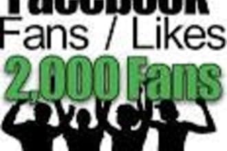 add 1000 facebook likes to your facebook fanpage in less than 24 hours