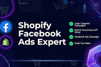 facebook ads campaign, fb advertising for shopify store