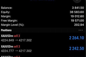 forex trading, scalping bot, trading analysis, market maker ea, gold ea
