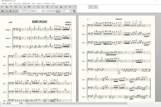 make arrangements with the greatest musicality