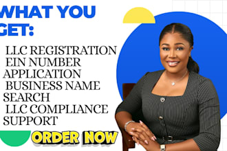 guide you through llc filing and compliance