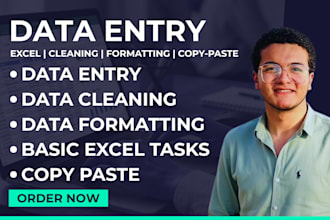 handle your financial and accounting data entry in excel