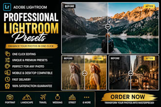 create  lightroom preset for you