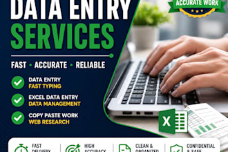 do data entry, typing and excel work