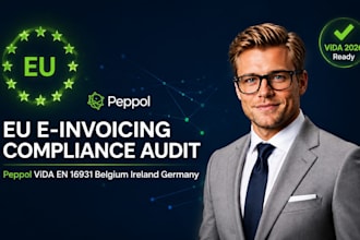 do eu e invoicing peppol setup vida compliance audit and vat report