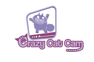 design attractive crazy fun cat logo for you