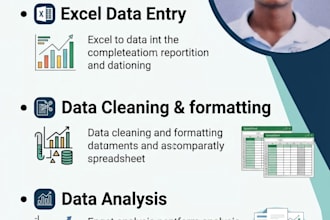 be your expert data entry cleaning and analysis specialist