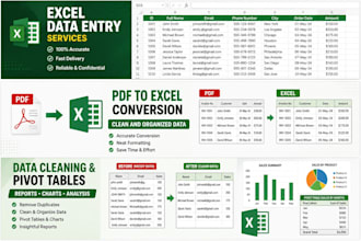 excel data entry and PDF to excel conversion