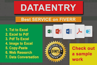 do professional data entry and virtual asistant work