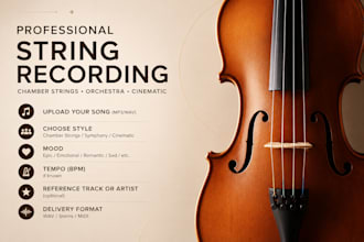 record string orchestra chamber strings symphony orchestra for you