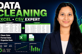 clean, format, and organize excel or CSV data