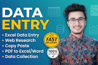 do professional data entry, web research, and excel data formatting