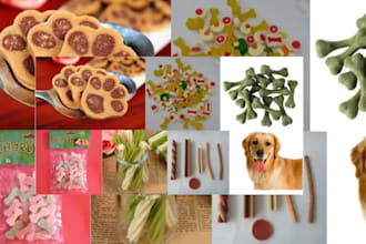 formulate custom dog and pet food recipes as a certified veterinarian
