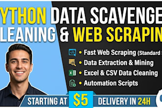 do fast website scraping, data extraction, and clean excel data entry