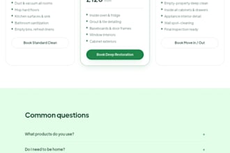 design a professional home cleaning service websitr