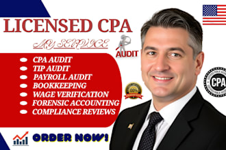 do accounting, US tax return, bookkeeping, finance and audit as senior auditor