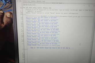 do professional data entry and excel automation work