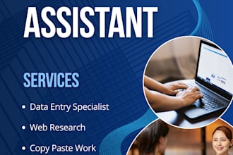 be your professional virtual assistant for data entry and web research