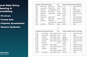 clean, format and organize your messy excel data