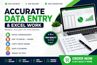 do accurate excel data entry spreadsheet work