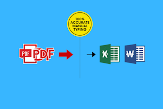 convert PDF to excel, PDF to word, and do fast copy typing work