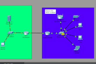 solve your cisco packet tracer labs and assignments