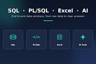 provide professional ms excel and sql database services