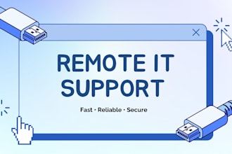 provide professional remote IT support