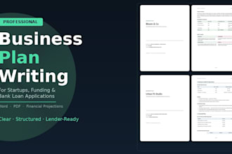write a professional business plan for your startup or idea