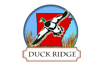 design existing modern duck hunting camp logo