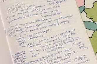 handwrite notes and letters in clean and legible words