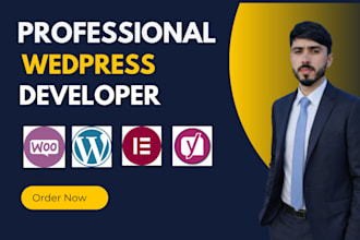 professional wordpress woocommerce store development