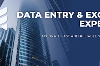 accurate data entry, excel and google sheets work