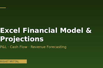 build a financial excel model for your business