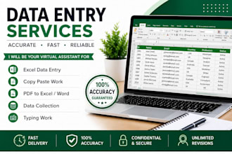 do accurate data entry excal data entry and typing work