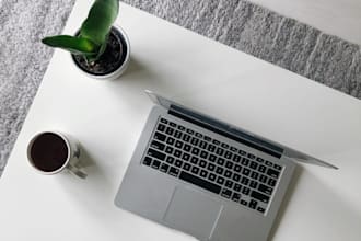 write SEO blog posts and articles for your website