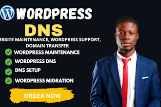 setup wordpress dns, domain connection, SSL, cloudflare