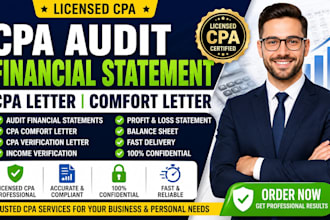 provide licensed CPA audit financial statements CPA letter comfort letter