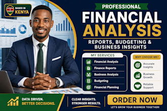 do professional financial analysis, and business insights