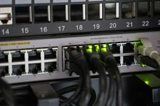 provide professional IT support and network troubleshooting