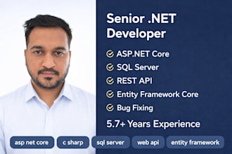 develop asp net core web API and backend services