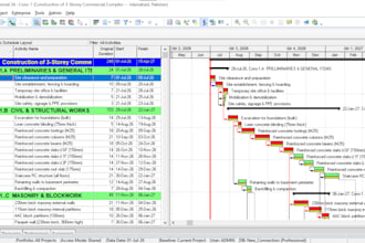 do scheduling using ms project or primavera p6
