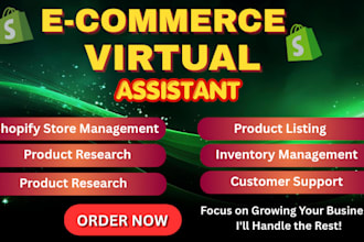 be your virtual assistant for shopify support admin assistant data entry