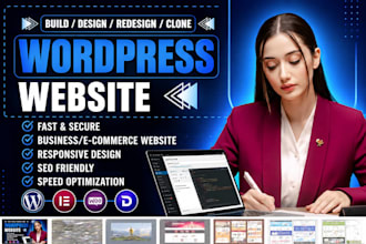 be your professional wordpress developer